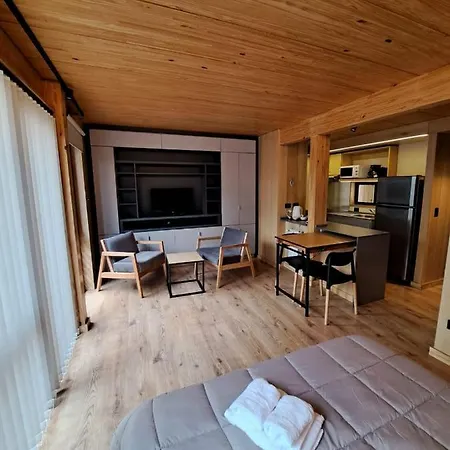 Monoambiente Con Amplio Jardin, En El Centro De Sma. 3V5 Apartment San Martin de los Andes Exterior photo