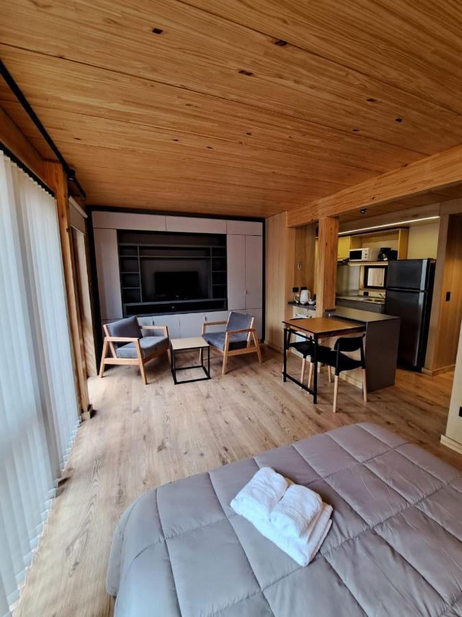 Monoambiente Con Amplio Jardin, En El Centro De Sma. 3v5 * San Martin de los Andes